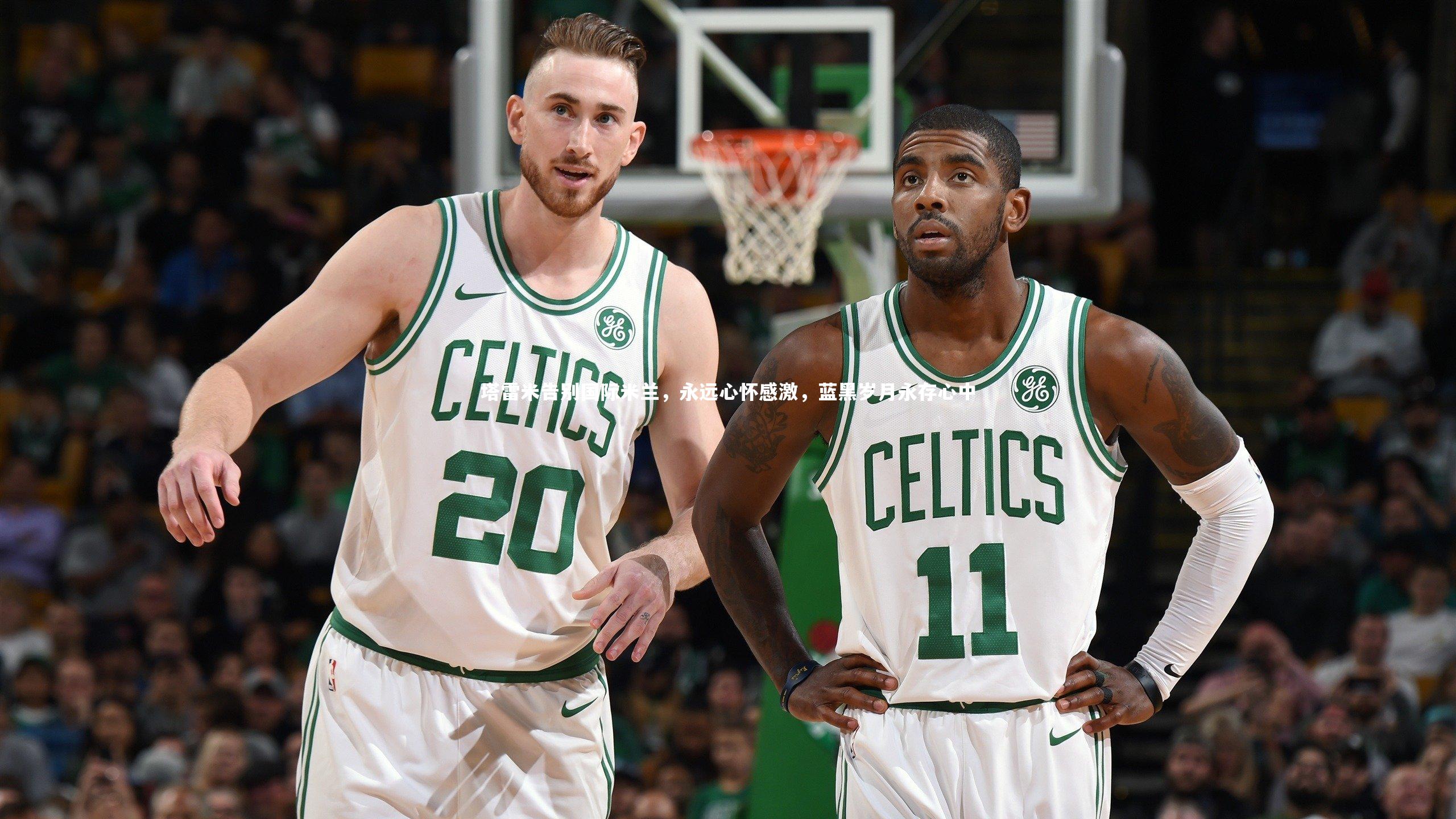 开云体育-塔雷米告别国际米兰，永远心怀感激，蓝黑岁月永存心中